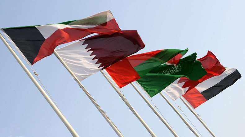 Gulf Co-operation Council flags (imageBROKER/Alamy Stock Photo)