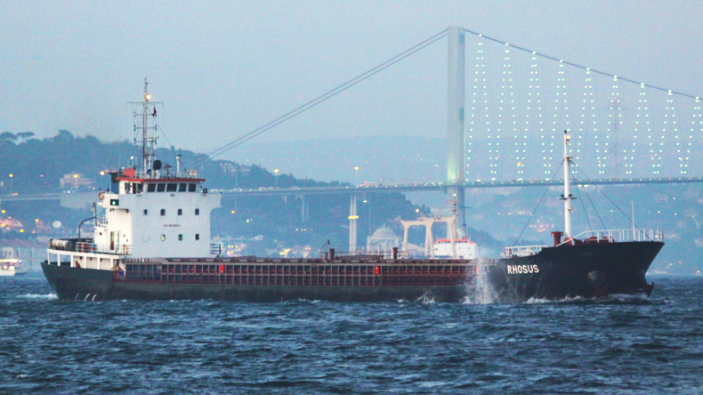 Rhosus seen in Istanbul in 2010. Hasenpusch picture