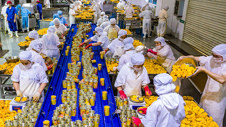 Factory workers process yellow peach at a plant in Yihang city, south China's Hubei province, 12 August 2021 Credit: Sipa US / Alamy Stock Photo