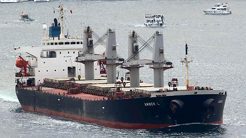 Dry bulk carrier Amber L