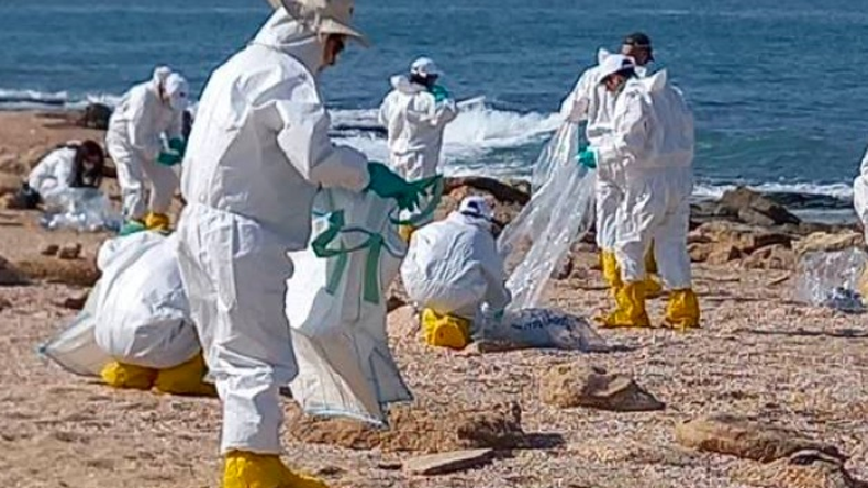 Beach clean-up after oil spill off Israeli coast, Feb 2021. Source: Israeli incident report