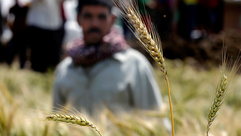 Egypt has a low availability and high cost of arable land