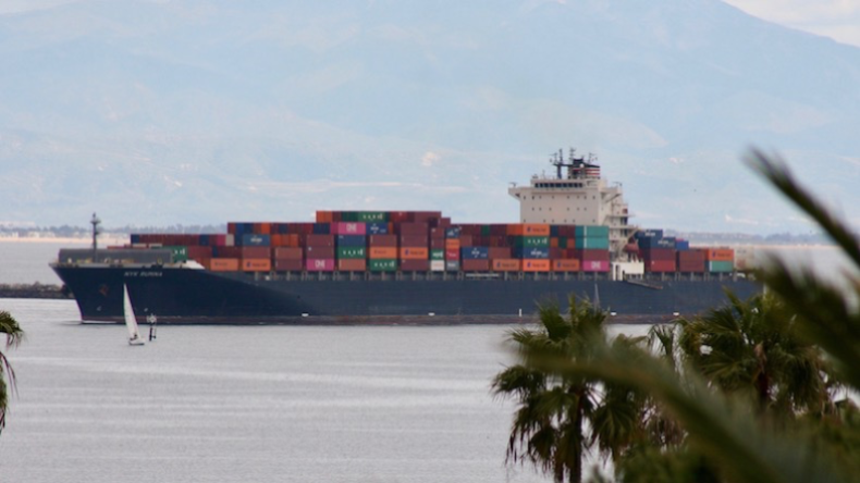 4,888-teu NYK Rumina arriving in Los Angeles on March 22 2020. Credit: Eric Watkins