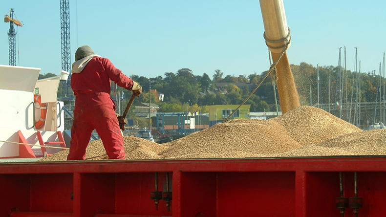 Grain carrier loading malt barley