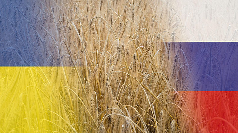  Barley growing naturally in sunlight. Russian-Ukrainian grain deal. Golden cereal grain field. High grain price, wheat shortage and food crisis - Image ID: 2JJY8G2