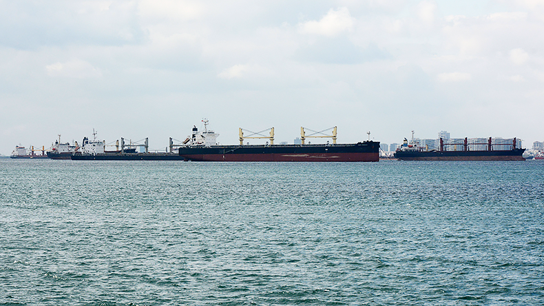 Bulk carrier grain ships at the Sea of Marmara in Turkey